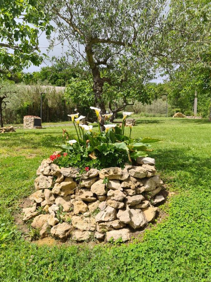 Agriturismo La Casa Dei Ricordi 콜레살베티 외부 사진