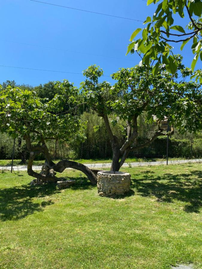 Agriturismo La Casa Dei Ricordi 콜레살베티 외부 사진