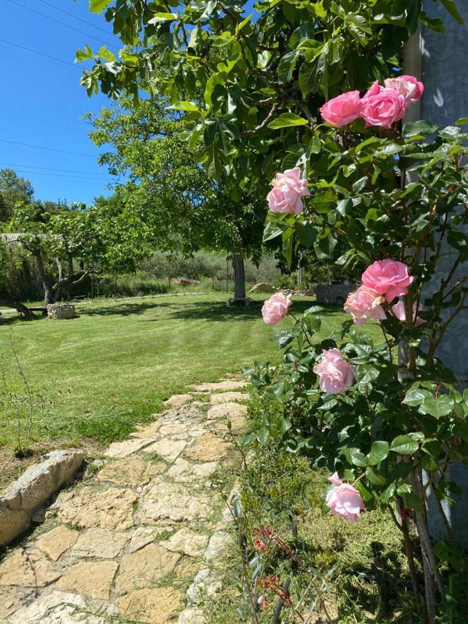 Agriturismo La Casa Dei Ricordi 콜레살베티 외부 사진