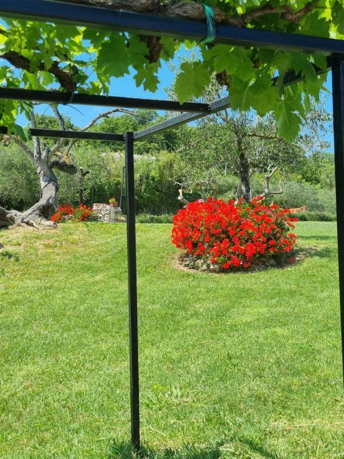 Agriturismo La Casa Dei Ricordi 콜레살베티 외부 사진